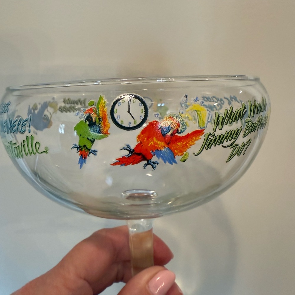 Set of 4  Hand-Painted Parrot Glass by Margaritaville